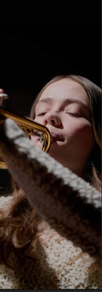 Instrument Yamaha 6